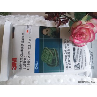 1 cặp phin lọc 3M 6001CN