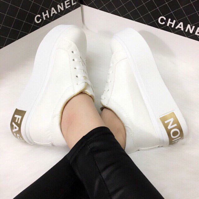 Thể thao nữ đế độn S38