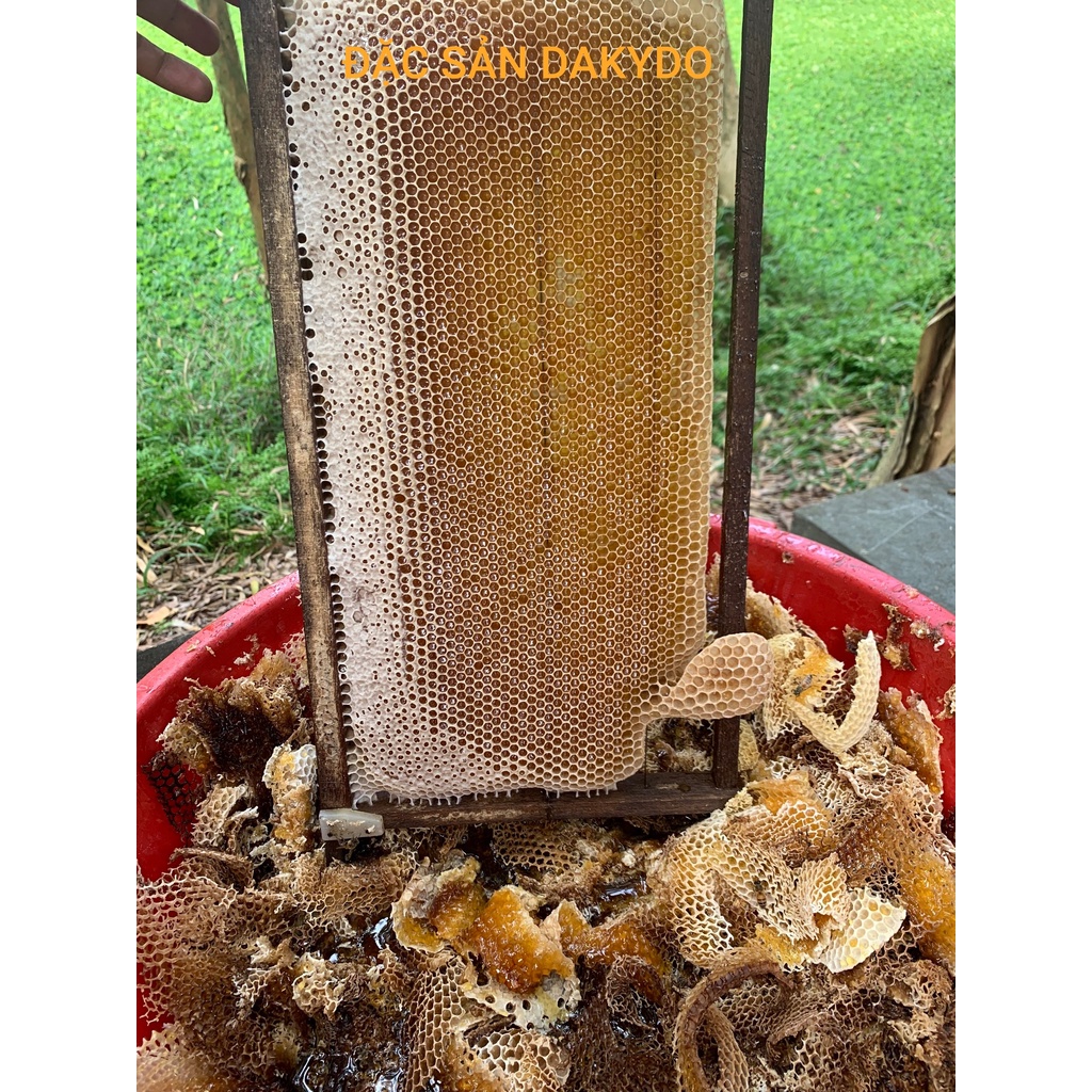 Mật ong rừng tràm Trà Sư 100% tự nhiên (Tịnh Biên, An Giang), 500ml, thương hiệu đặc sản Dakydo, uống là ghiền.
