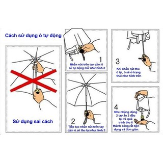 Ô dù tự gấp mở Nhật Bản