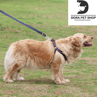 DÂY DẮT CHÓ MÈO ĐI DẠO