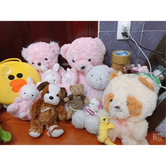 Gấu xinhhh