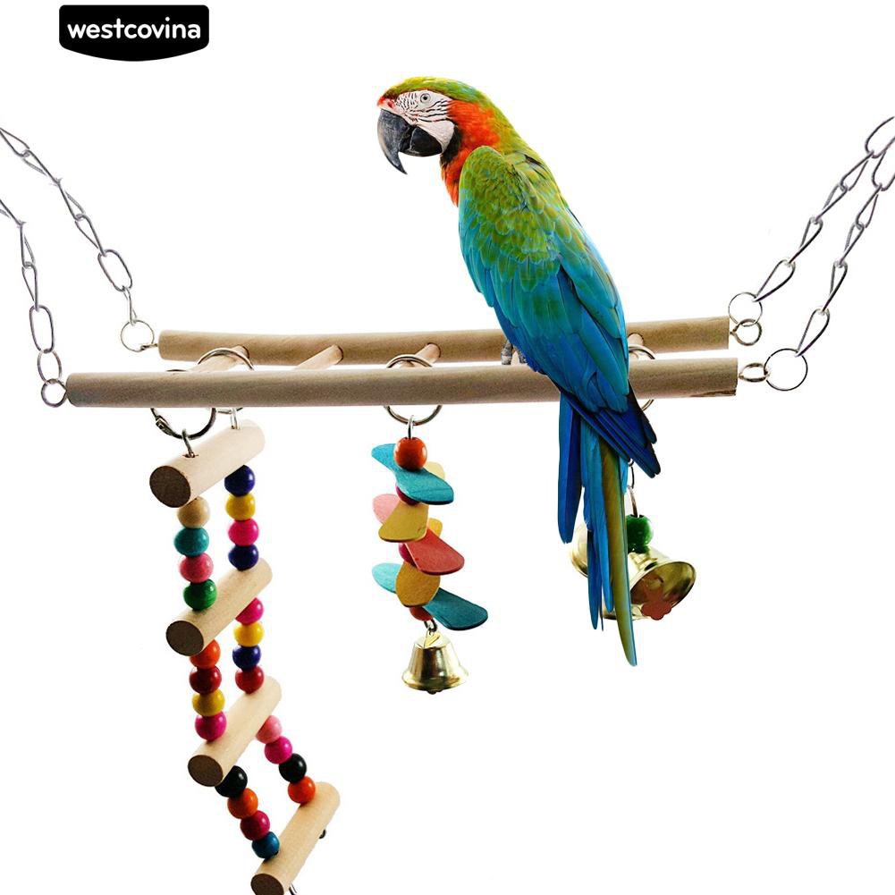 Thang đồ chơi bằng gỗ nhiều màu sắc cho chim vẹt