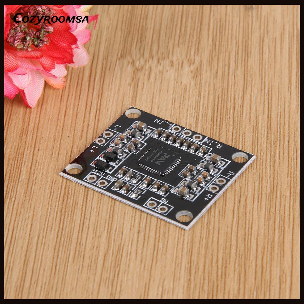 Bo mạch khuếch đại âm thanh pam8610 DC 12V 2 x 15W có màn hình hiển thị