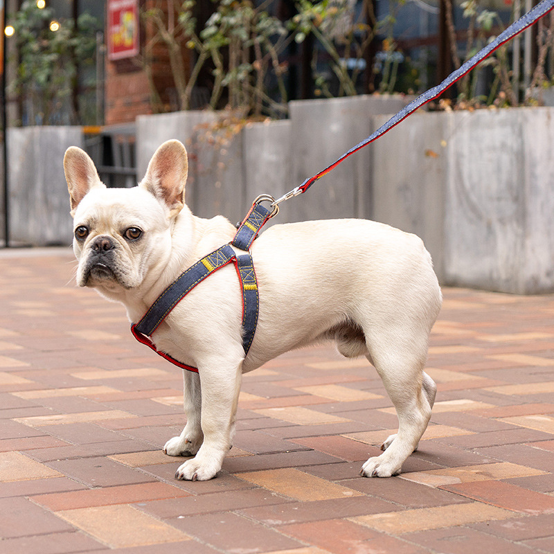 Dây Dẫn Thú Cưng Đi Dạo Kiểu Dáng Đáng Yêu