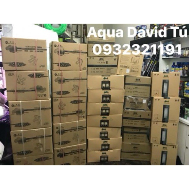 Sứ Mountain tree Maifan Ring