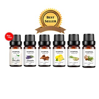 Bộ 6 chai tinh dầu cao cấp, tinh dầu lài, tinh dầu tràm, tinh dầu lavender, tinh dầu quế, sả, chanh 10ml