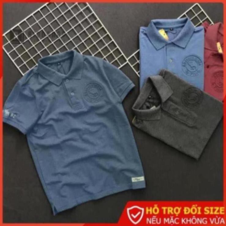 Áo thun nam đẹp có cổ Riooshop logo nổi cao cấp RXP026