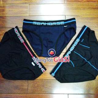 Quần Lót SEAHORSE Sexy, Thời Trang SH042