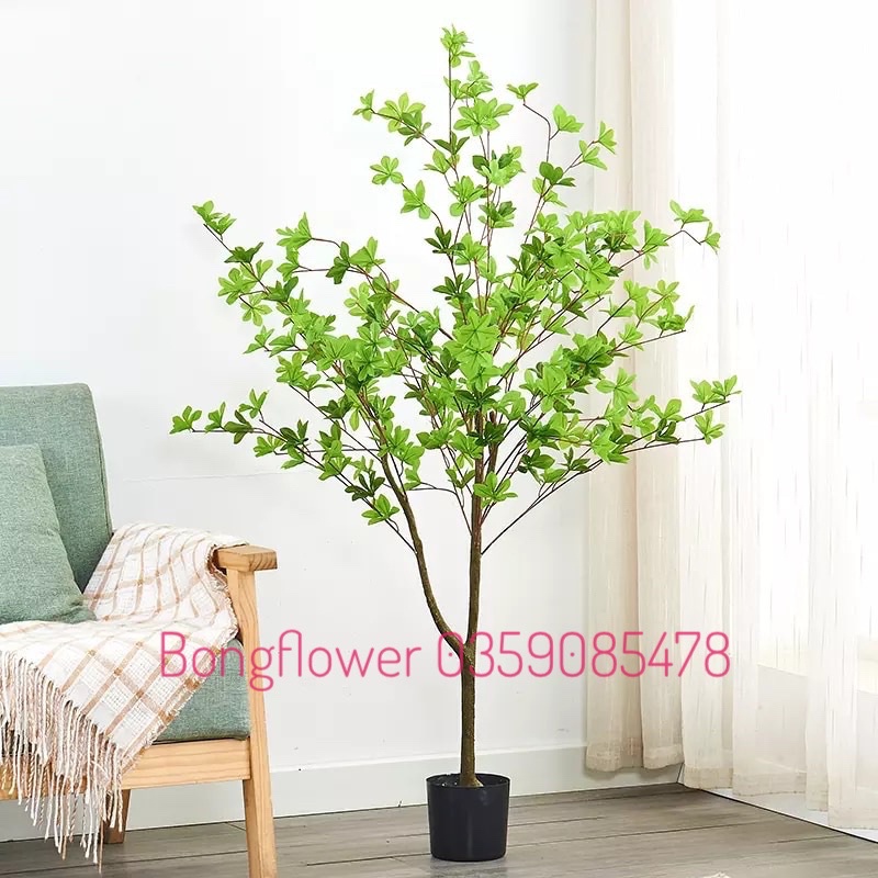 Cây thạch nam giả cao 130cm decor siêu xinh nên chậu sẵn khách nhé