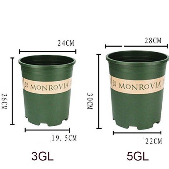 Bộ Chậu Nhựa Nhập Khẩu Monrovia + Kèm Đĩa Lót (chuyên trồng hoa Hồng)