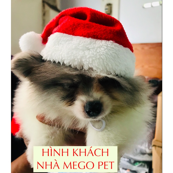 PHỤ KIỆN MŨ NÓN BỜM NOEL CHO THÚ CƯNG (Chọn mẫu)