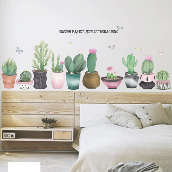 Decal dán tường - Xương Rồng Chậu ú