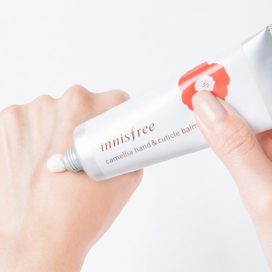 Sáp dưỡng da tay và móng tay hương hoa trà innisfree Camellia Hand And Cuticle Balm EX 50ml | BigBuy360 - bigbuy360.vn