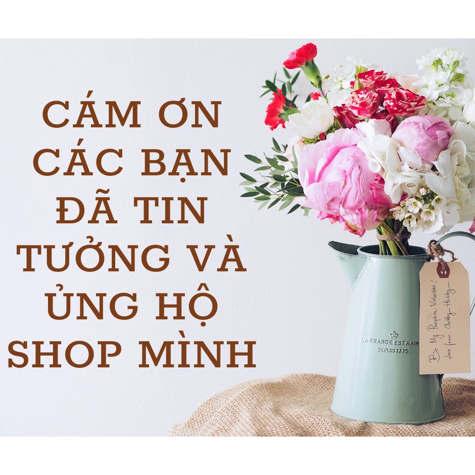 Miến gà SG Food 500g | BigBuy360 - bigbuy360.vn