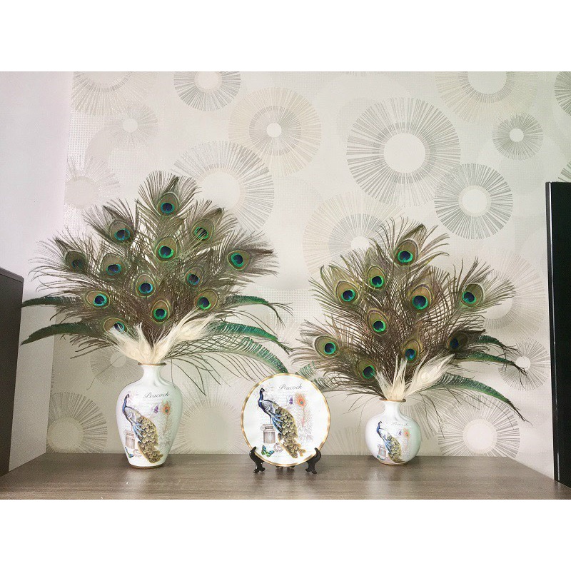 Bộ 10 Lông Công Phong Thuỷ