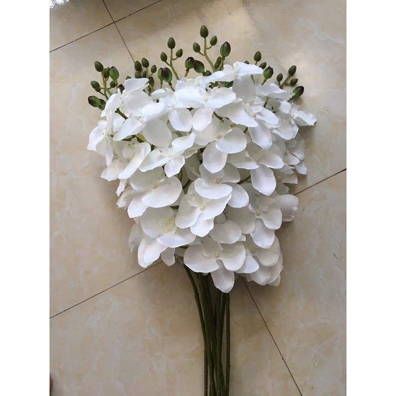 Cành Lan Hồ Điệp 9 bông_ Hoa Lan Vải cao cấp