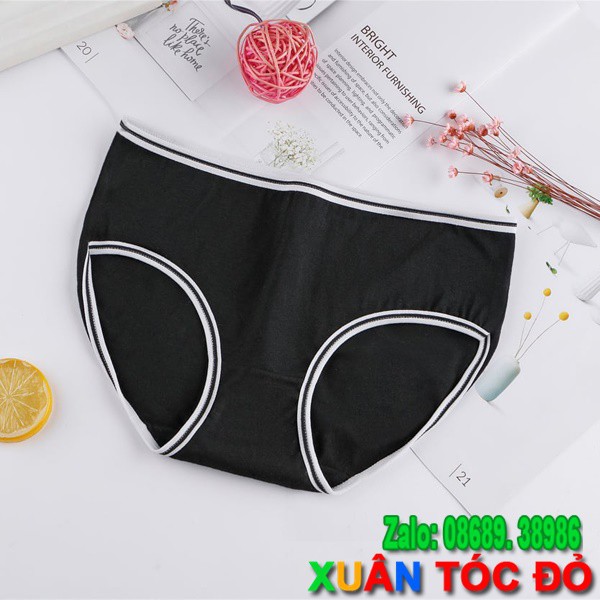  SỈ ZALO RẺ HƠN NHIỀU_ Quần Lót Cotton Nhiều Màu Viền Kẻ Mới Siêu Đẹp H013 | BigBuy360 - bigbuy360.vn