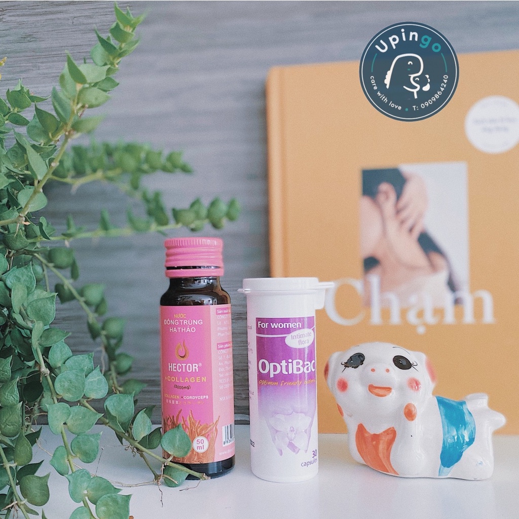 Nước Đông Trùng Hạ Thảo Hector Collagen hộp 10 chai