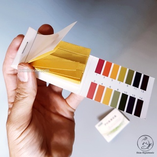 QUỲ TÍM TEST PH CHO BỂ CÁ - BỂ THUỶ SINH