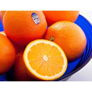 CÂY GIỐNG CAM VÀNG MỸ