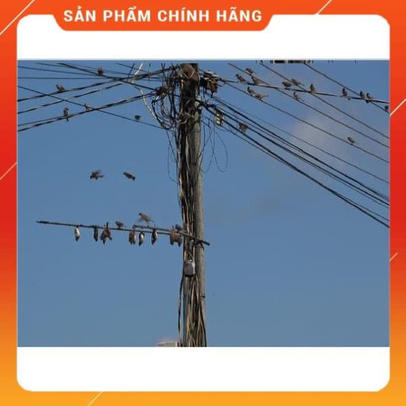 🐠 combo 5 Hũ Keo Bẫy Chim Sẻ_ Siêu Dính 🐠