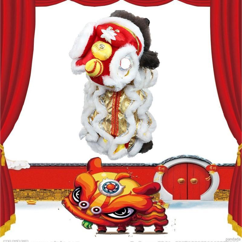 Bộ Đồ Hóa Trang Rồng Nhảy Múa Cho Cún Cưng