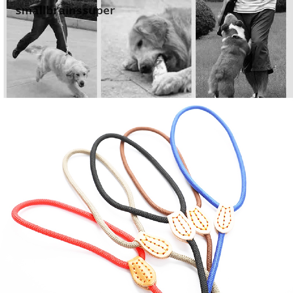 Dây Dắt Thú Cưng Đi Dạo Bằng Nilon Có Dây Xích Chống Trượt
