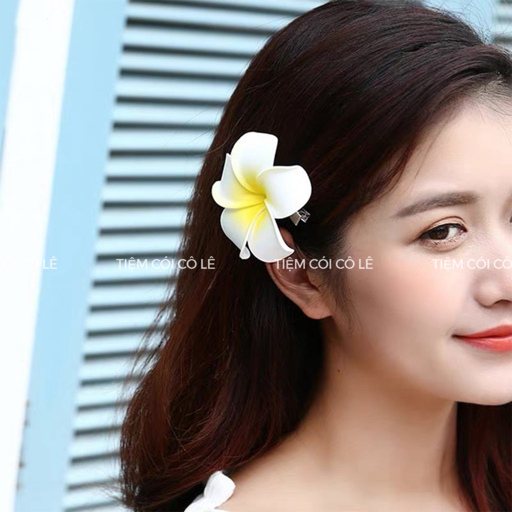 Hoa đại cài tóc, phụ kiện cài tóc đi biển siêu xinh cho bạn gái - Tiệm Cói Cô Lê