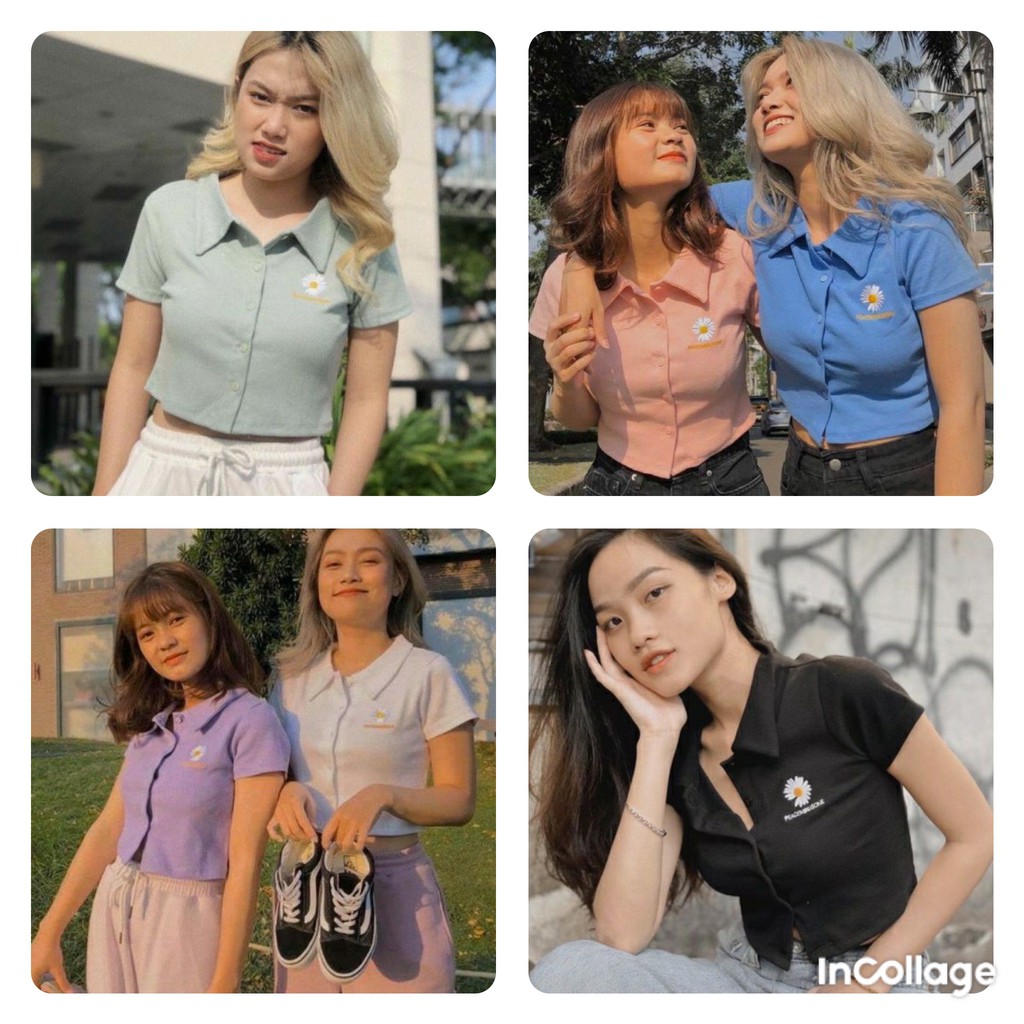 Áo Croptop Hoa Cúc - Áo Polo Nữ Cúc Thật - Thời Trang Nữ AnAn - CRT16