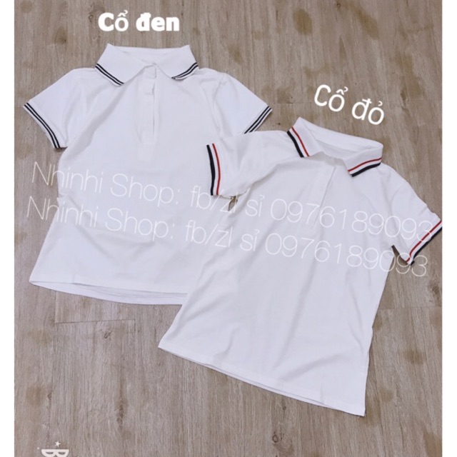 Áo thun cổ bẻ pha viền, Áo phông nữ tay cộc dáng ôm vải cotton co giãn AS1091 - NhiNhi Shop