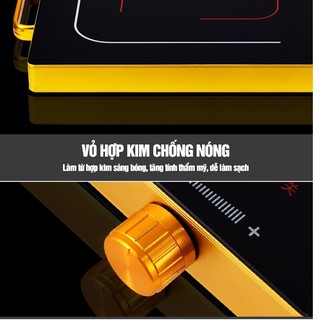 Bếp hồng ngoại ASANZO IS-15K1