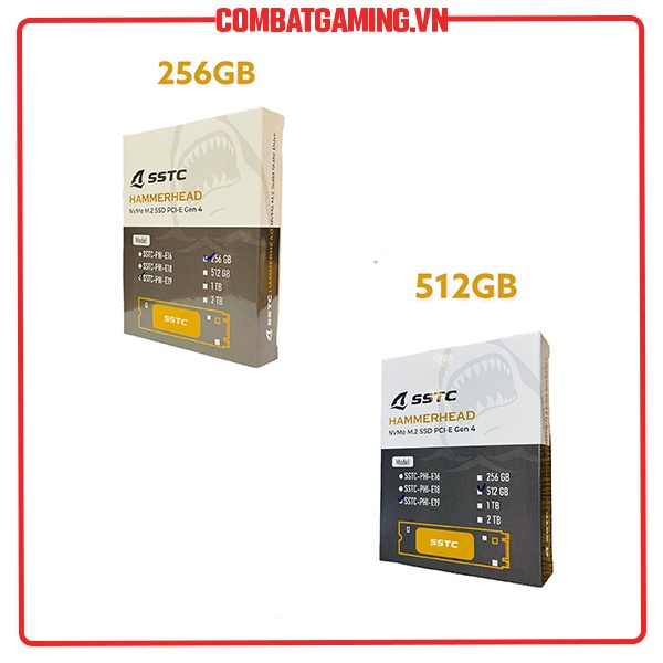 Ổ Cứng SSD SSTC 256GB 512GB PHI E19 NVME GEN 4 (3600/3000 Mb/s)