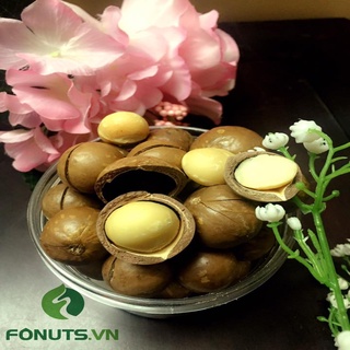 Hạt Macadamia nứt vỏ Úc 500g