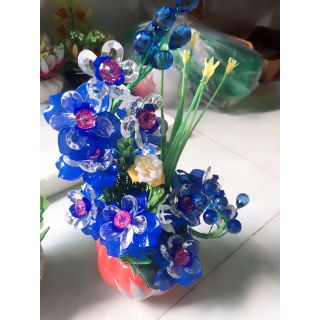Combo nguyên liệu khách tự chọn