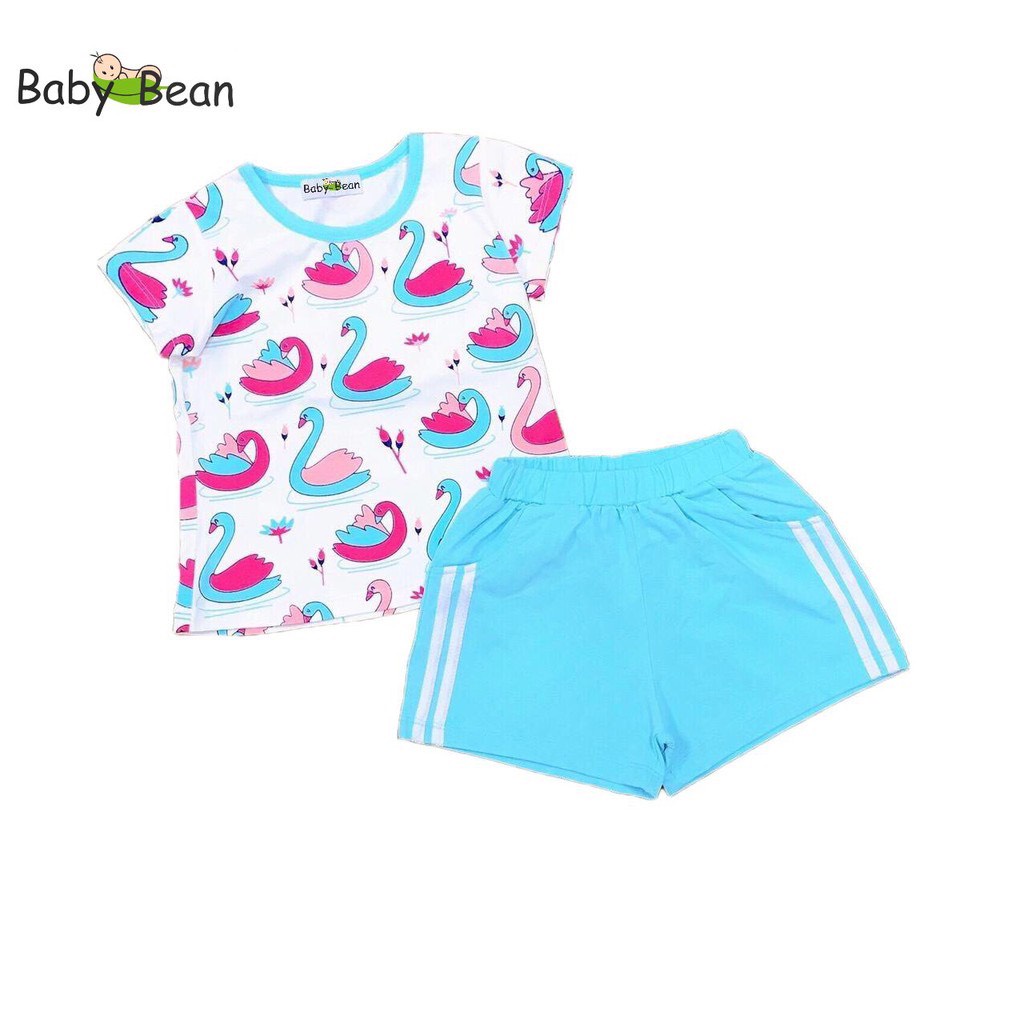 Bộ Đồ Thun Cotton in Hình Thiên Nga Bé Gái BabyBean (8kg-50kg)