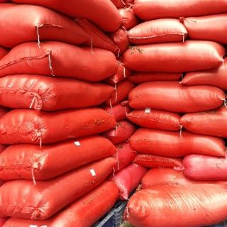 Hạt dưa Tân Ký 10kg