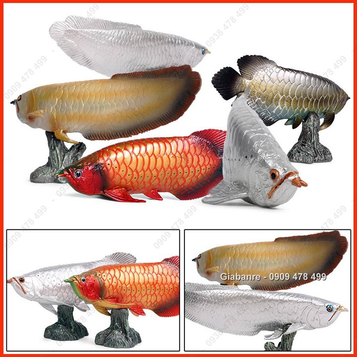 Mô Hình Cá Rồng Arowana – Kim Long, Ngân Long, Huyết Long - Dài 16-18cm 7667