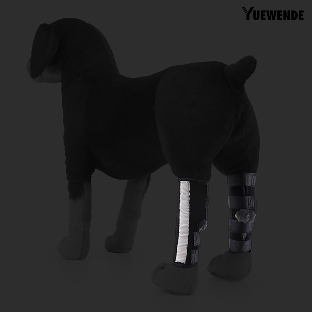 1 Cặp Băng Quấn Bảo Vệ Khớp Chân Cho Thú Cưng