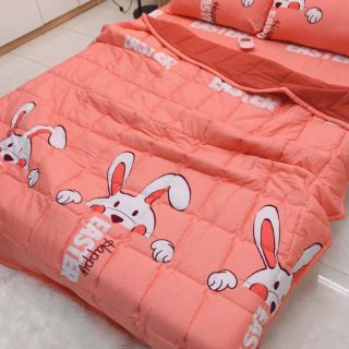 Bộ chăn ga gối cotton đũi
