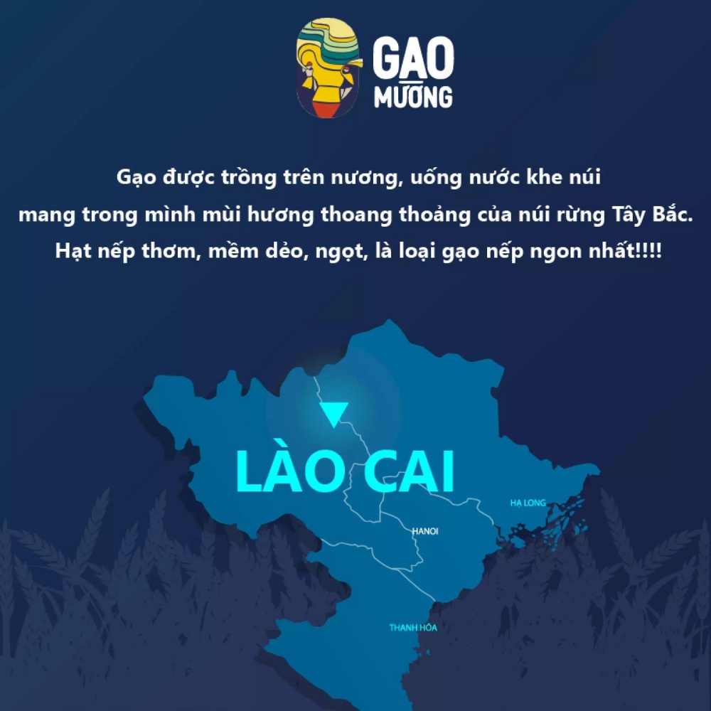Gạo nếp nương hữu cơ đặc sản tây bắc nấu xôi thơm dẻo đóng gói túi hút chân không 1kg | BigBuy360 - bigbuy360.vn