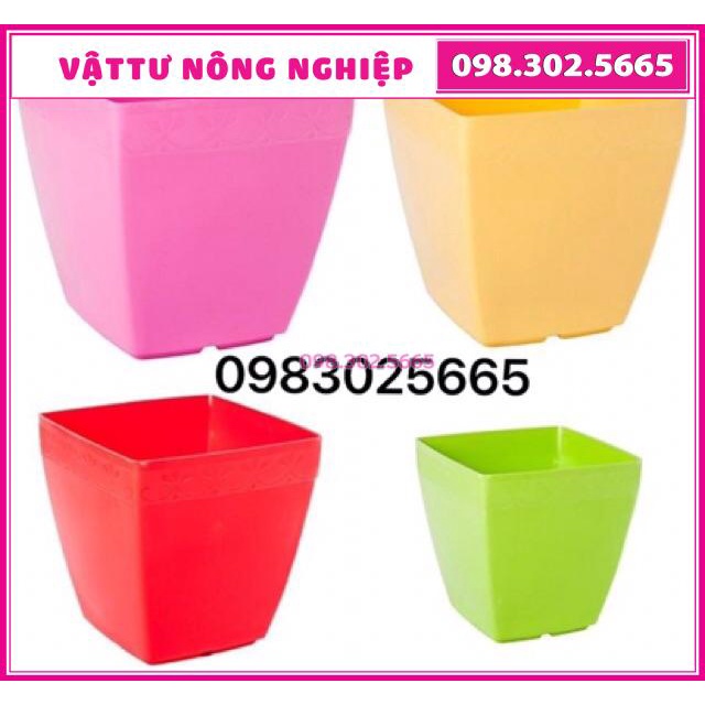 Chậu nhựa vuông nhiều màu kích thước 16x16cm