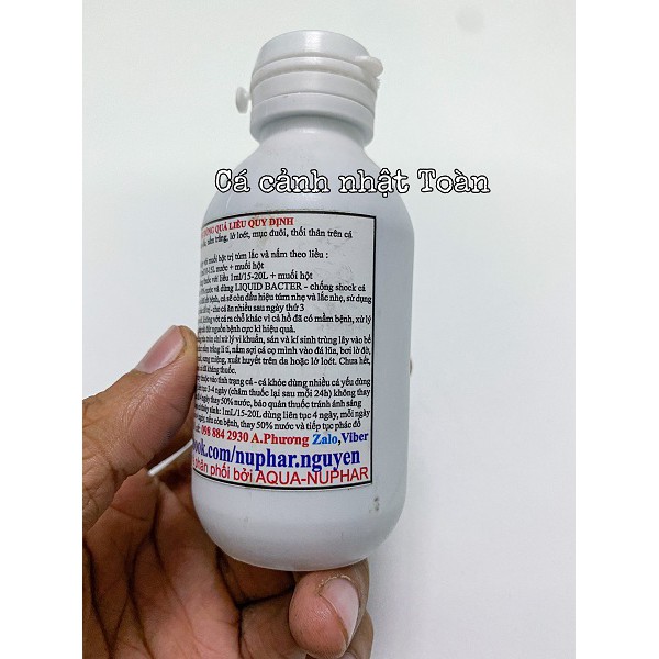 NUPHAR ANTI BIO VẤN ĐỀ NẤM TÚM LẮC MỤC ĐUÔI CHO CÁC LOẠI CÁ CẢNH