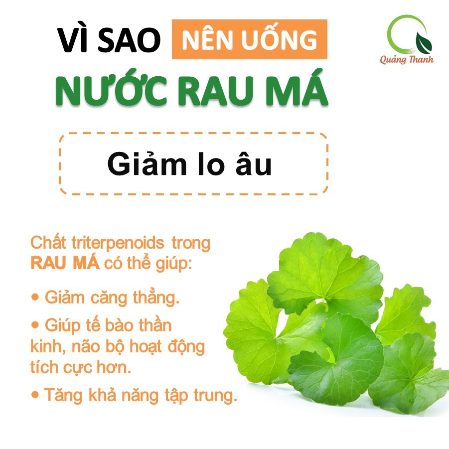 [100% NGUYÊN CHẤT] Rau Má Đường Phèn ORAMA Uống Liền - 1 gói x 15g