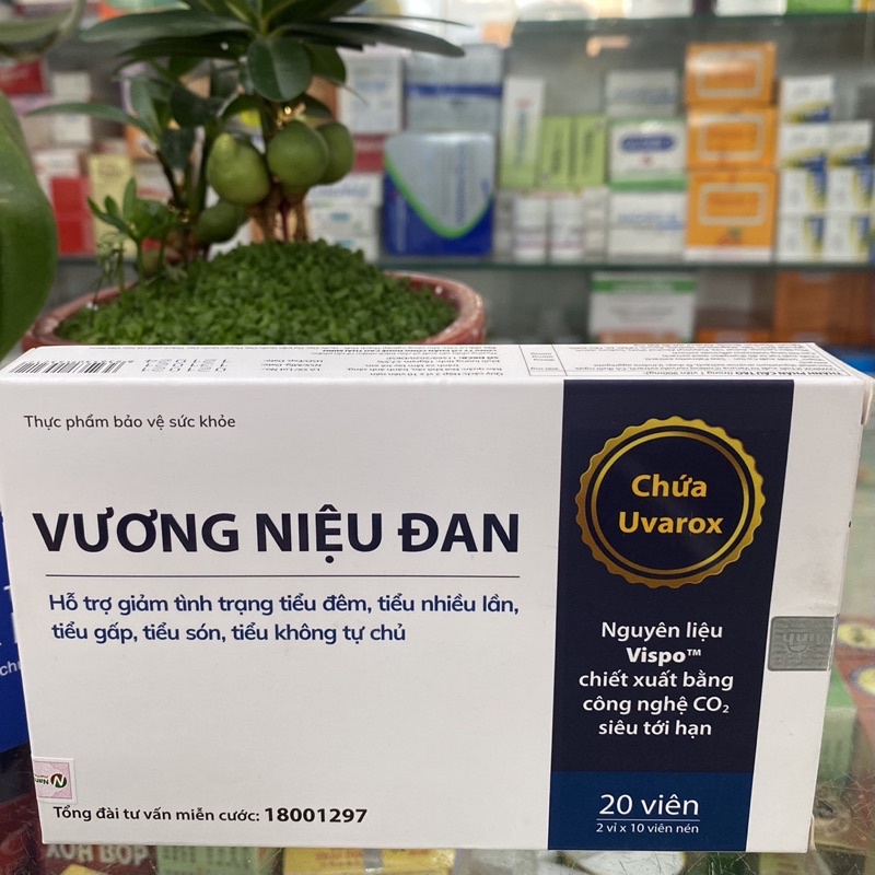 ✅ [Chính Hãng] Vương Niệu Đan Hỗ trợ giảm tình trạng tiểu đêm, tiểu nhiều lần, tiểu gấp, tiểu són, tiểu không tự chủ.