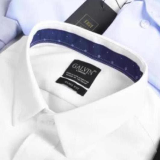 [SK] LeoVatino.Official - Sơ mi nam Galvin cotton basic co giãn 4 chiều | BigBuy360 - bigbuy360.vn