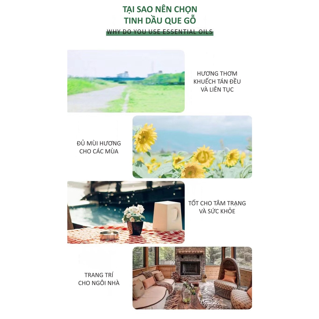 Tinh Dầu Nước Hoa Gỗ Mây ECODEALS - Khử mùi khó chịu, ẩm mốc, mồ hôi, thuốc lá, ... 30-50 ngày - Chai 50ml