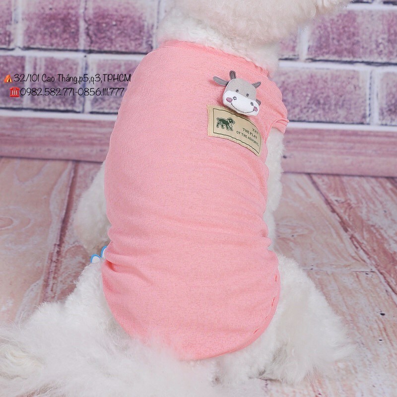 quần áo cho thú cưng có 5 size nhiều màu sắc dễ dàng lựa chọn