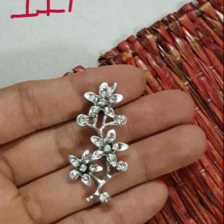 Cành hoa sao trắng