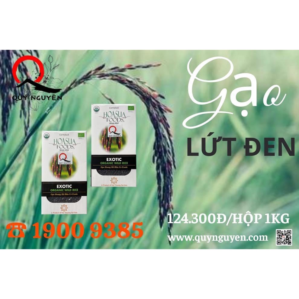 Gạo Lứt Đen Mầm Lúa Non Hoa Sữa Quy Nguyên 1kg